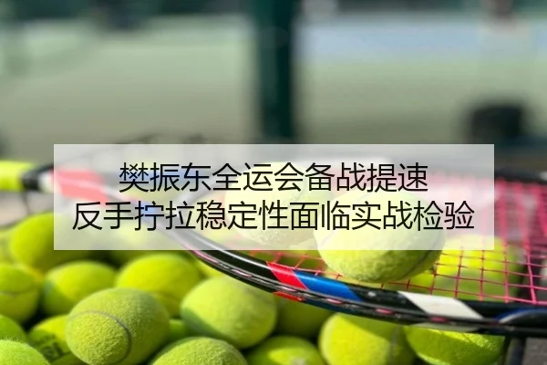 樊振东全运会备战提速 反手拧拉稳定性面临实战检验