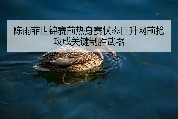 陈雨菲世锦赛前热身赛状态回升网前抢攻成关键制胜武器